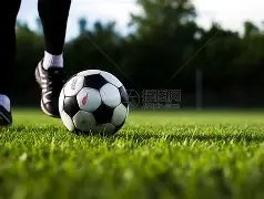 辉煌战绩,威尼斯能否,笑傲三分巅,世界杯竞猜,2026世界杯,竞猜技巧,胜率提升,赛事分析