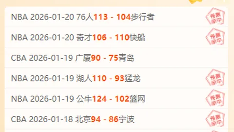 美国国土安全部与“政府效率部”联手开展合作